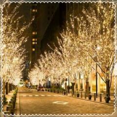 ☆Mr.W☆from Mai