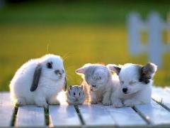 (⑅ ॣ•͈૦•͈ ॣ) from Rena Hasegawa