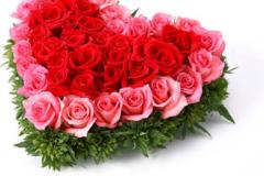 thank you　From　Hitomi Yosizawa