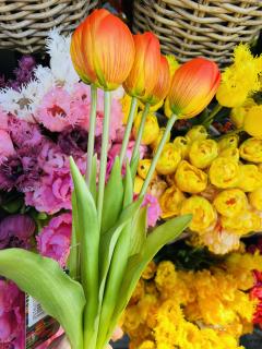 Tulips🌷 No 133 | Maya Fujitani